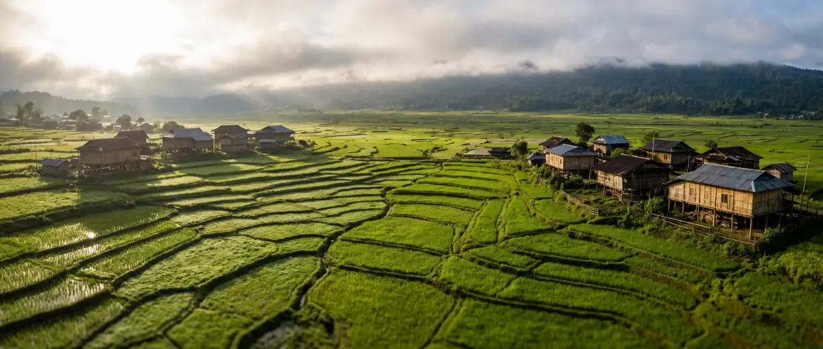 Ziro Valley Landscape